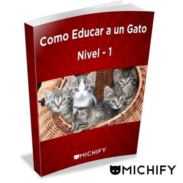 como-educar-gato-nivel1-01