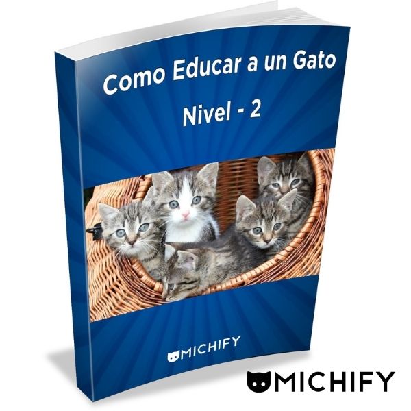 como-educar-gato-nivel2-01