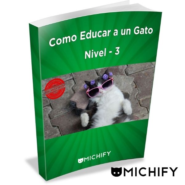 como-educar-gato-nivel3-01